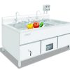 Vegetable Washer